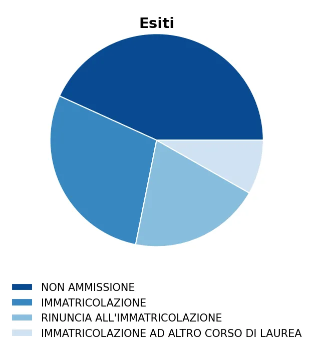 Grafico a torta degli esiti di Ingegneria per l'ambiente e il territorio 21-10-2025